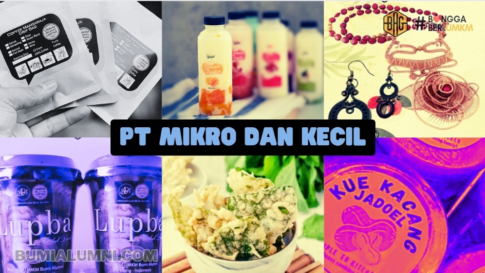 Sekarang UMKM Bisa Mendirikan PT Perorangan