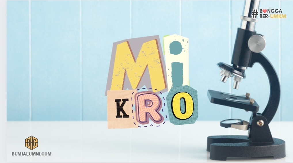 Kategori Mikro Masih Mendominasi Struktur UMKM