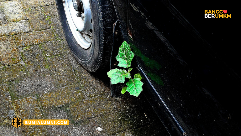 Alasan UMKM Makanan Bertahan Dengan Kantong Plastik