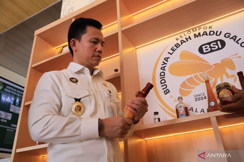 Sebanyak 1.265 Kopdes Merah Putih di Sumbar Sudah Berbadan Hukum