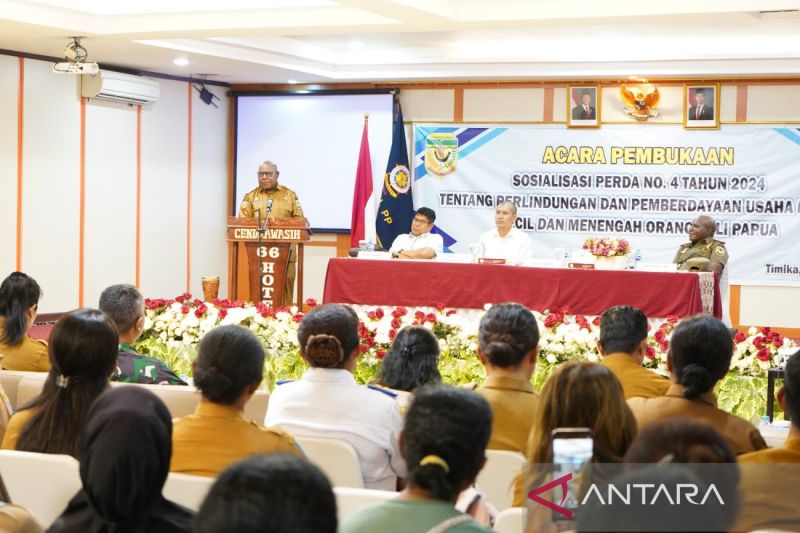 Pemkab Mimika sosialisasikan Perda Perlindungan UMKM OAP