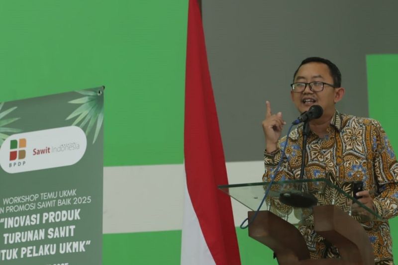 BPDP ajak UKMK tangkap peluang bisnis produk turunan sawit