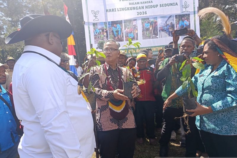 Kementerian UMKM apresiasi Pemkab Jayawijaya kembangkan produk UMKM