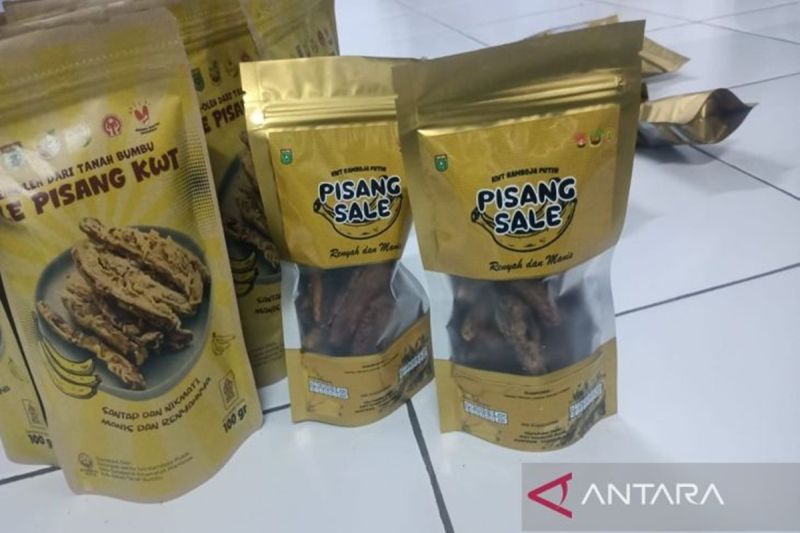Produk UMKM sale pisang di Mentewe Kalsel tembus pasar nasional