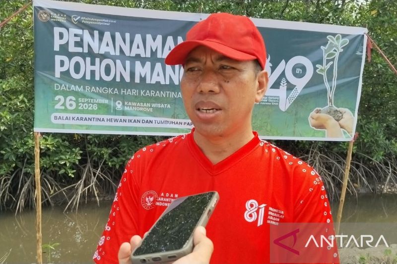 Karantina Papua Barat Daya dampingi pelaku usaha penuhi syarat ekspor