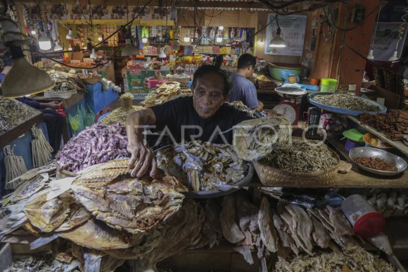 KUR jangkau 3,9 juta UMKM yang pertama kali dapat pembiayaan