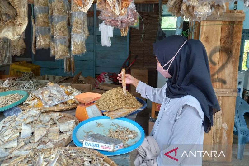 DJPb Bengkulu dorong pelaku UMKM manfaatkan program pembiayaan UMi