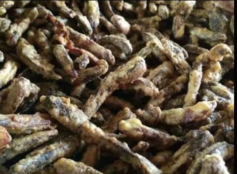 Sale pisang jari Syasyiri